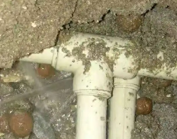 如东测漏水多少钱