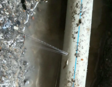 如东测漏水哪家好