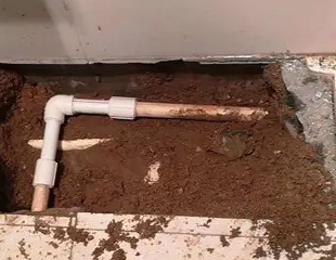 如东测漏水哪家好