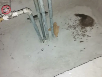 如东卫生间测漏水价格明细