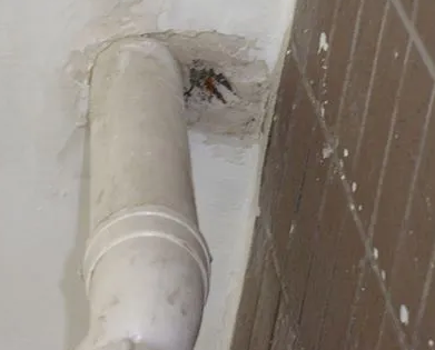 如东漏水检测哪家好